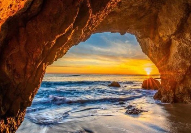 Explore the Tropical World with the Love of Your Life